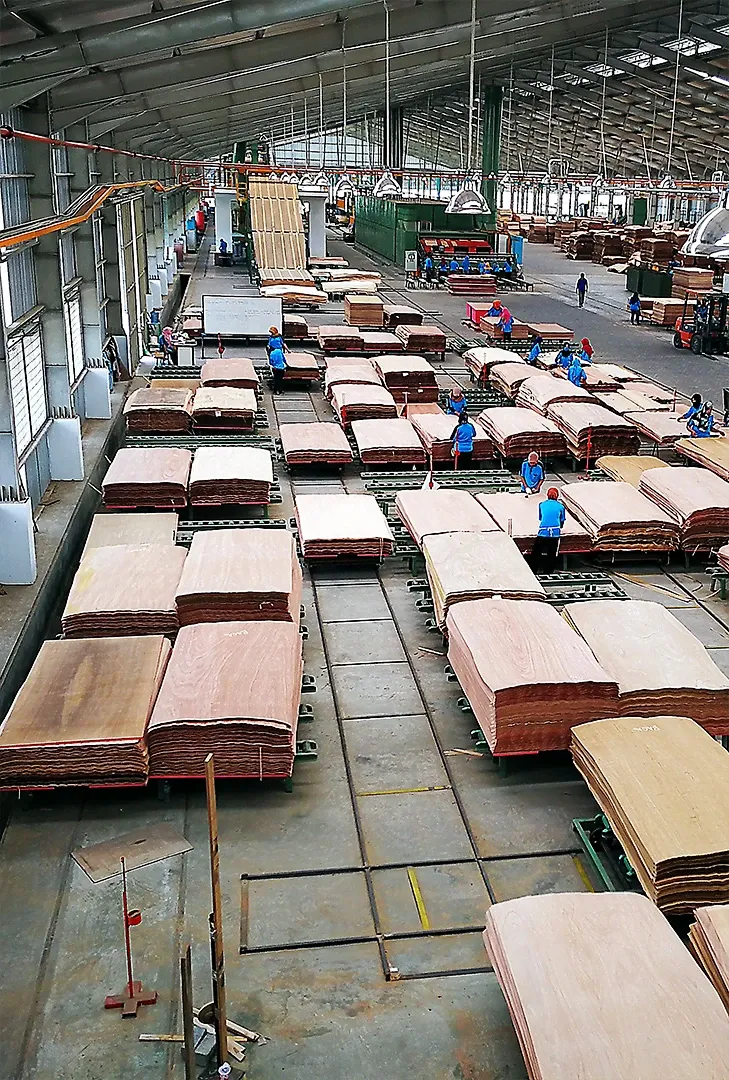 EUNIAN timber processing engineering team and facilities