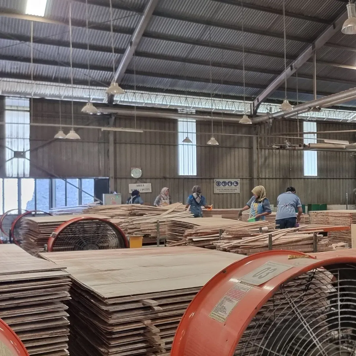 Veneer Assembling Line — Putty Application