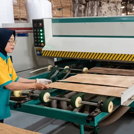 Veneer Assembling Line — Veneer Edge Clipper