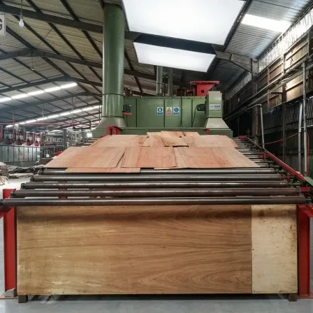 Veneer Roller Dryer — Output Quality Dried Veneer