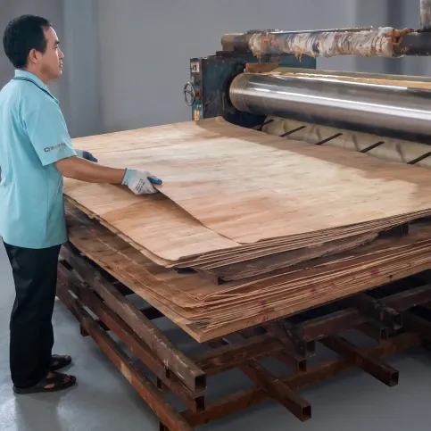 Veneer Setting Line — Glue Spreader