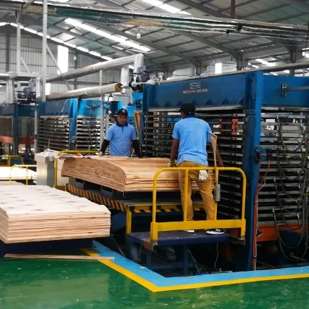 Veneer Press Dryer — Operating View