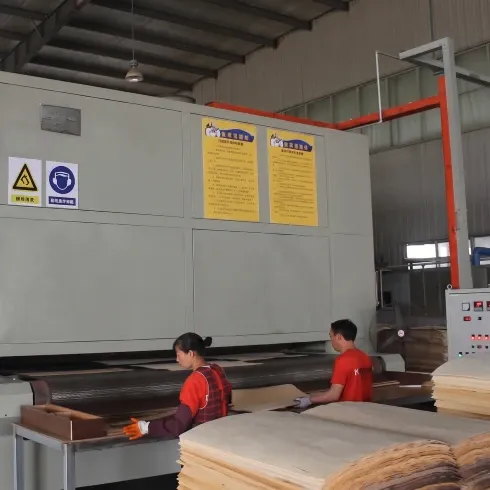 Veneer Wire Mesh Dryer — Output Section