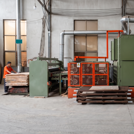 Veneer Roller Dryer — Side View System Overview