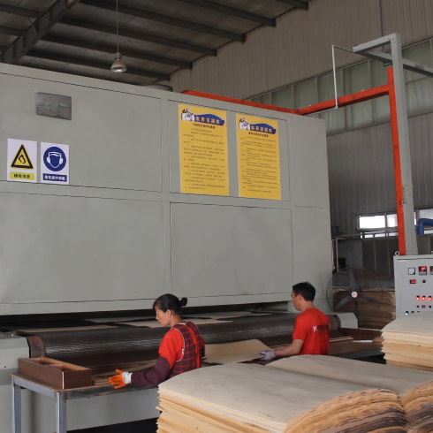 Veneer Wire Mesh Dryer — Output Section